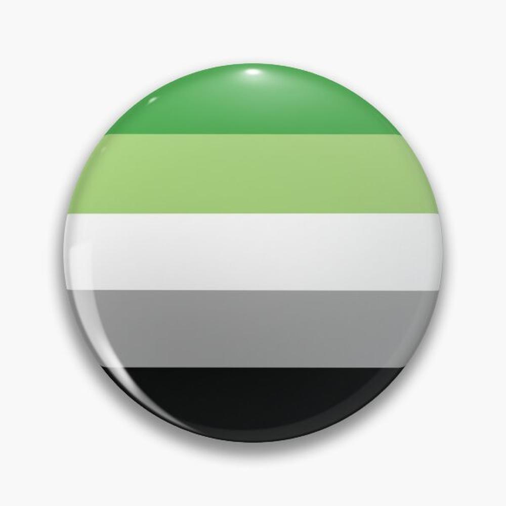 Aromantic Flag Pin Buttons Bro - đánh giá và giá Ethnic Modern Fashion